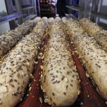 לחמים טריים